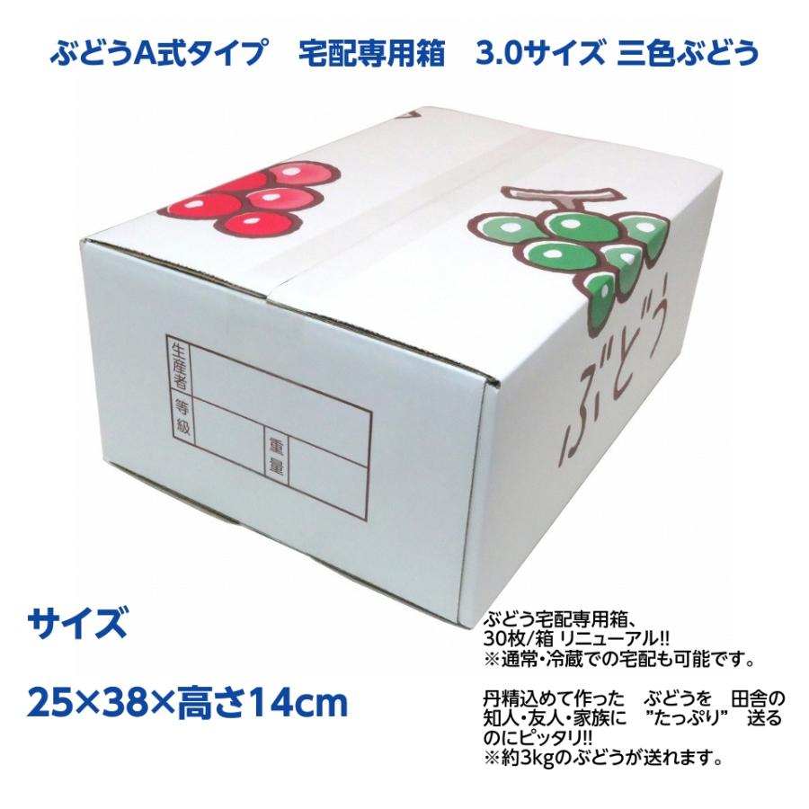 ぶどうA式タイプ 宅配専用箱 3.0サイズ 三色ぶどう（25×38×高さ