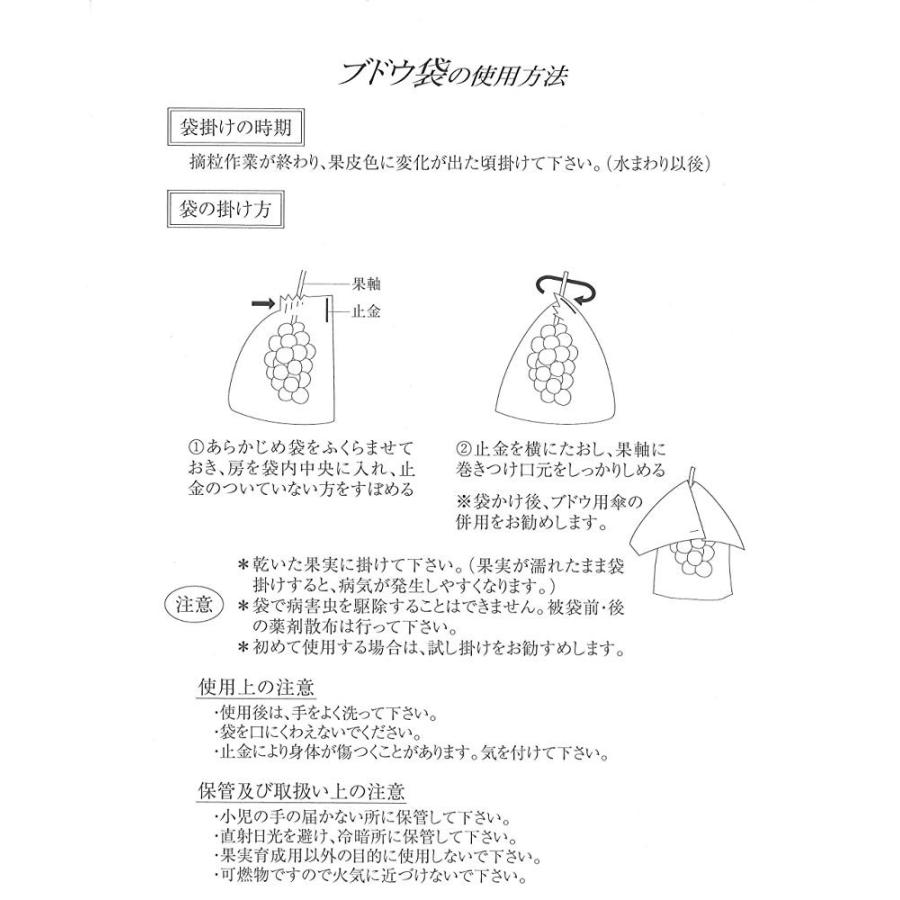 緑ぶどう 専用 シャイングリーン ブドウ袋 10号 超特大 238 340mm 100枚入 Eli3 1tu 葡萄館ヤフー店 通販 Yahoo ショッピング