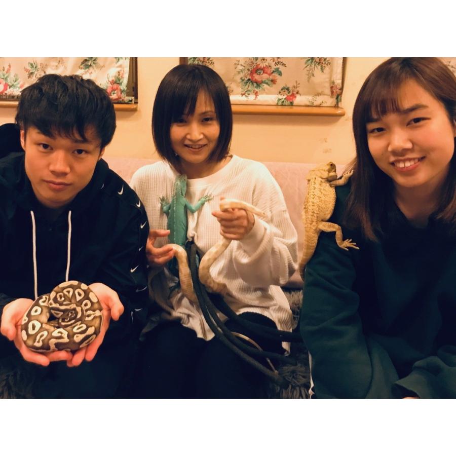 フルコンタクトKARATEマガジン vol.47 |  | 01