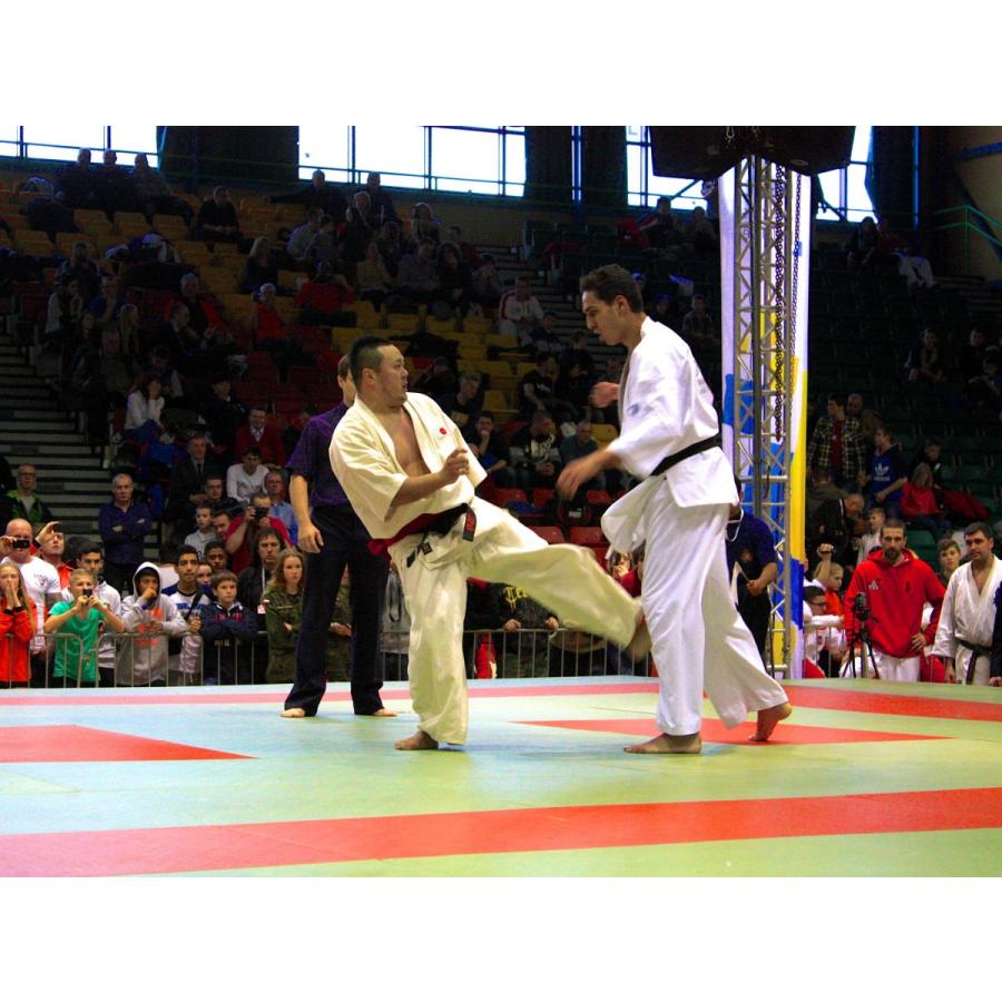 フルコンタクトKARATEマガジン vol.52 |  | 07