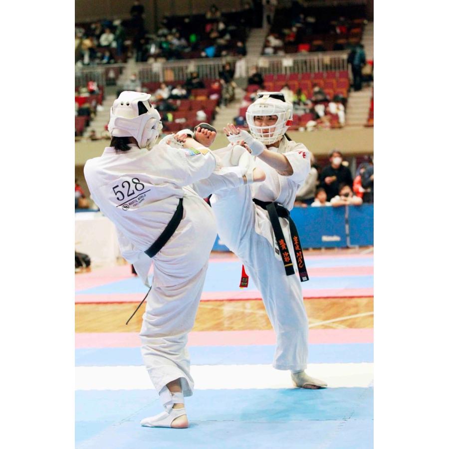 フルコンタクトKARATEマガジン vol.54 |  | 17