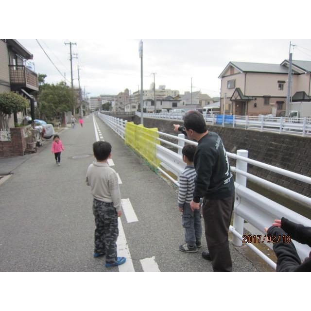 フルコンタクトKARATEマガジン vol.62 |  | 08