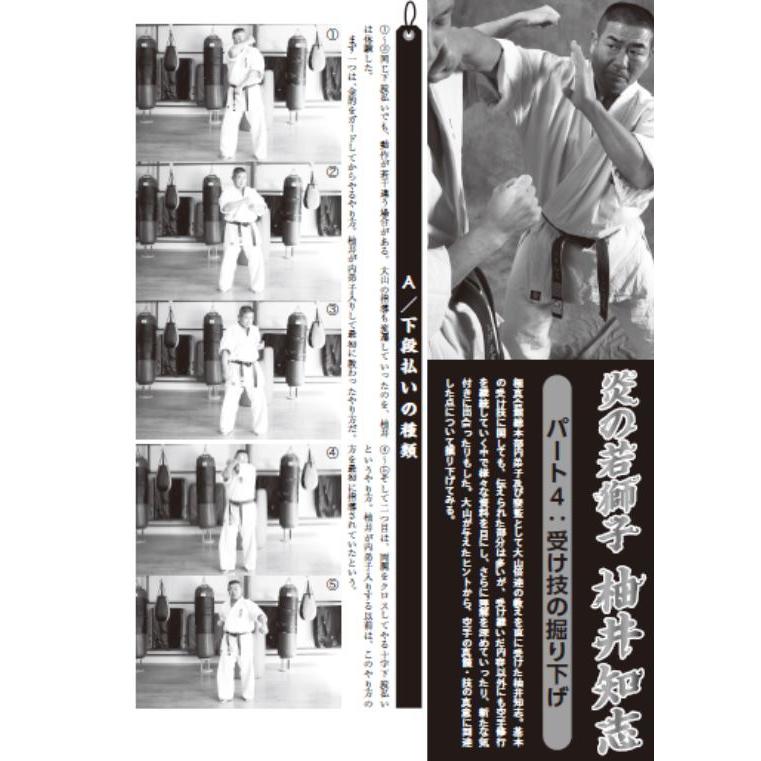 フルコンタクトKARATEマガジン vol.65 |  | 10