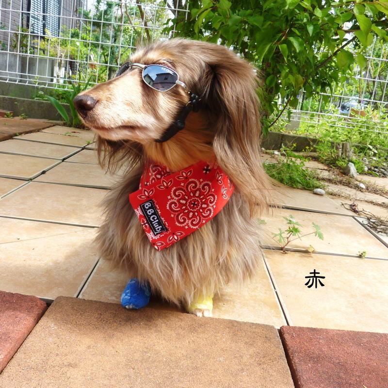 シベリアンハスキー柄　犬柄　リバーシブルスタイ　バンダナ　犬服　大型犬用 犬服 唐草模様バンダナ Mサイズ（小型犬用） 送料無料 和柄 から