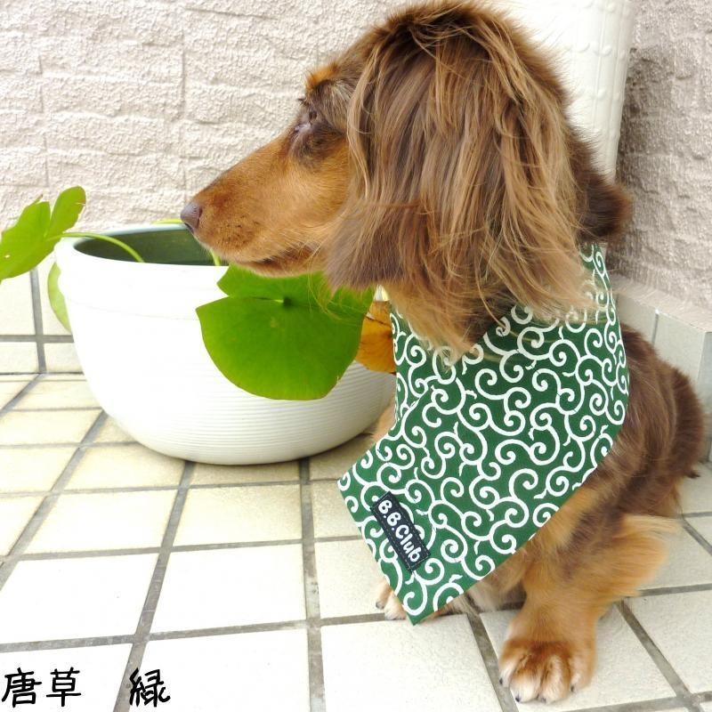 おすすめ  送料無料 Sサイズ 保冷剤５個付き クールネック（首周り25〜35ｃｍまで） 犬 猫 クールバンダナ 小型犬用 熱中症予防 暑さ対策 可愛い お洒落 日本製 |  | 10