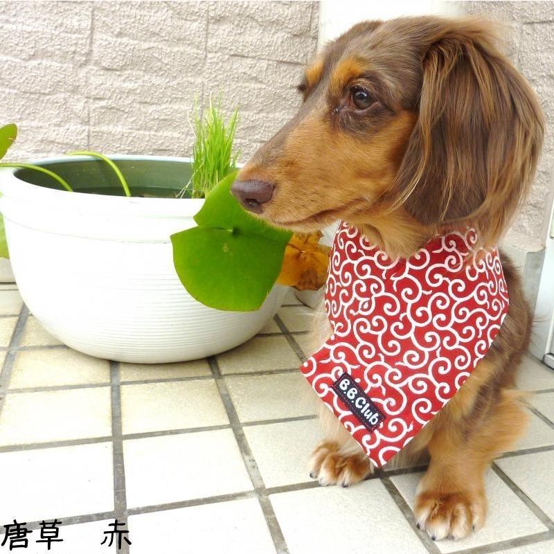 おすすめ  送料無料 Sサイズ 保冷剤５個付き クールネック（首周り25〜35ｃｍまで） 犬 猫 クールバンダナ 小型犬用 熱中症予防 暑さ対策 可愛い お洒落 日本製 |  | 11
