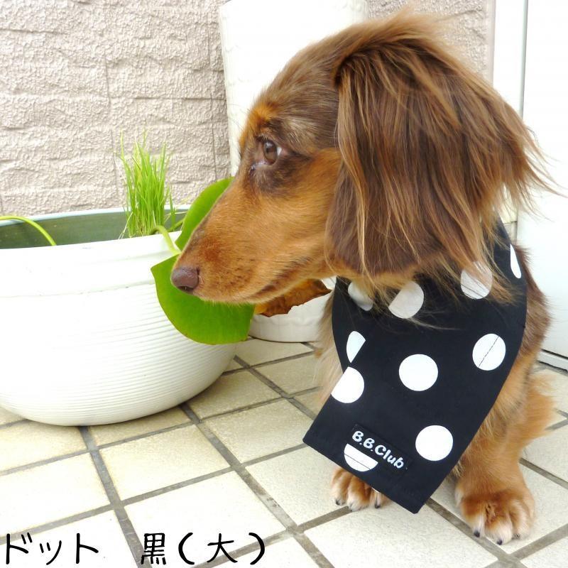 おすすめ  送料無料 Sサイズ 保冷剤５個付き クールネック（首周り25〜35ｃｍまで） 犬 猫 クールバンダナ 小型犬用 熱中症予防 暑さ対策 可愛い お洒落 日本製 |  | 04