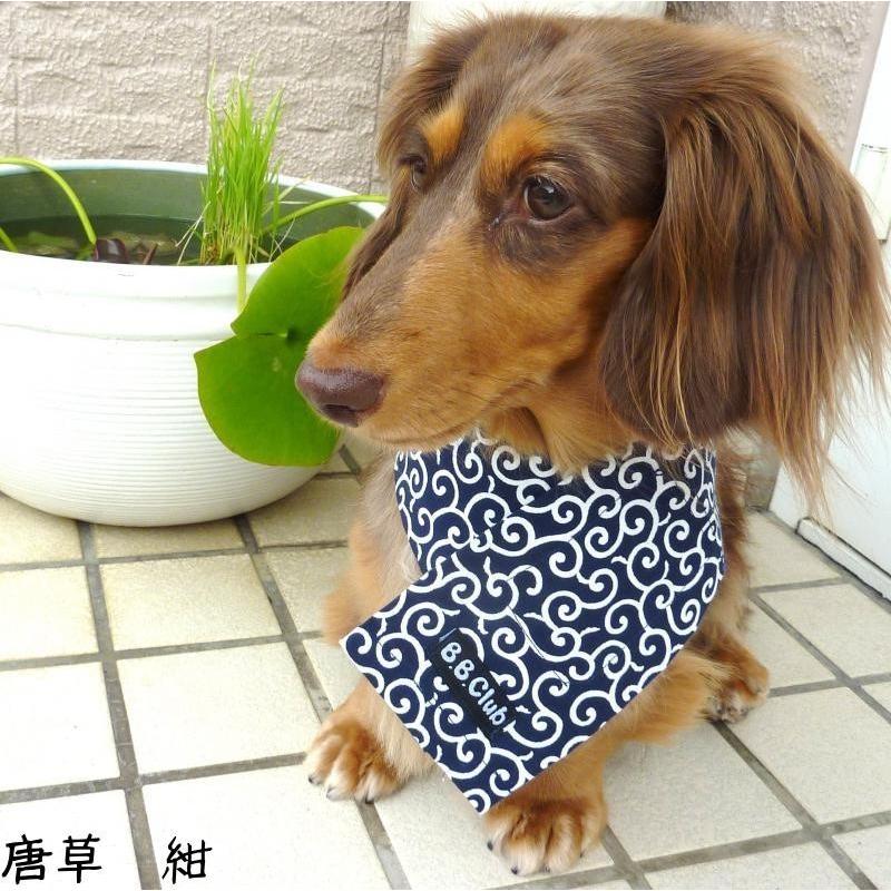 おすすめ  送料無料 Sサイズ 保冷剤５個付き クールネック（首周り25〜35ｃｍまで） 犬 猫 クールバンダナ 小型犬用 熱中症予防 暑さ対策 可愛い お洒落 日本製 |  | 09