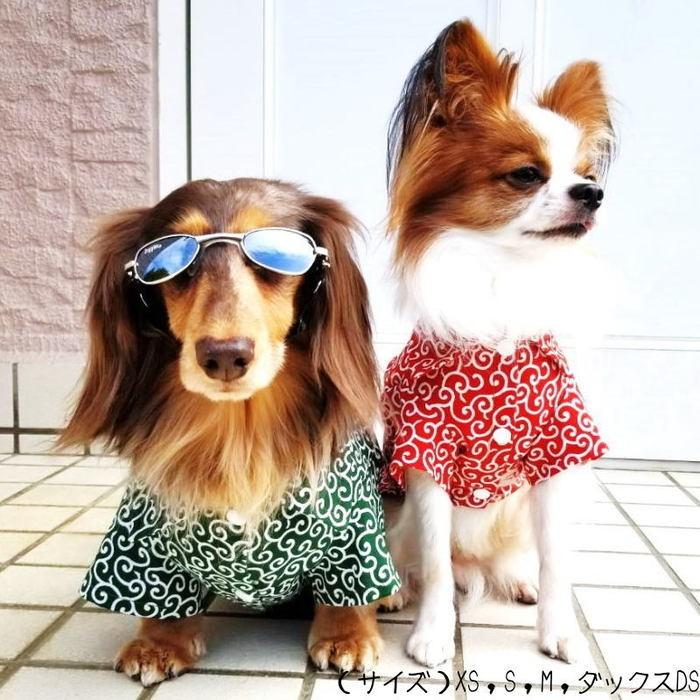 在庫限りで終了!!☆送料無料☆【小型犬と小柄なダックスフンド 在庫限りで終了!!☆送料無料☆【小型犬と小柄なダックスフンド
