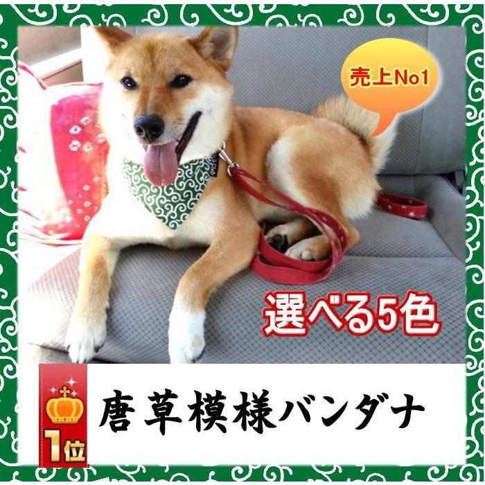 猫小型犬用バンダナ 富士山① n-0144シリーズ