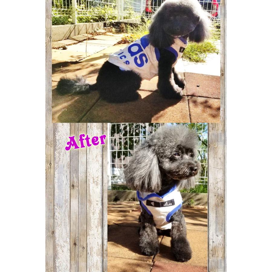 おすすめ リメイク 捨てれない服を犬のパーカーにリメイクします