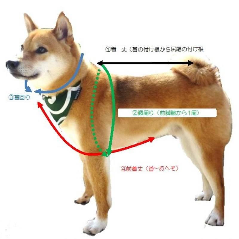 おすすめ リメイク 捨てれない服を犬のパーカーにリメイクします