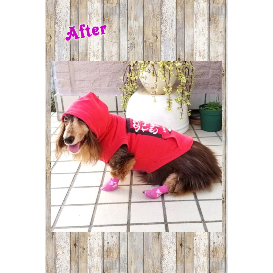 おすすめ リメイク 捨てれない服を犬のパーカーにリメイクします