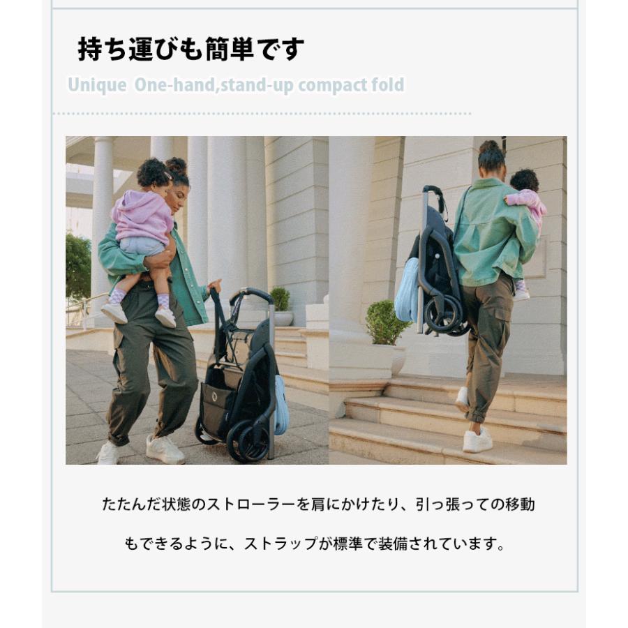 公式 バガブー ドラゴンフライ グラファイトフレーム コンプリートセット Bugaboo dragonfly 4年保証 ベビーカー a型 ab型 a型ベビーカー 両対面 22kgまでの画像