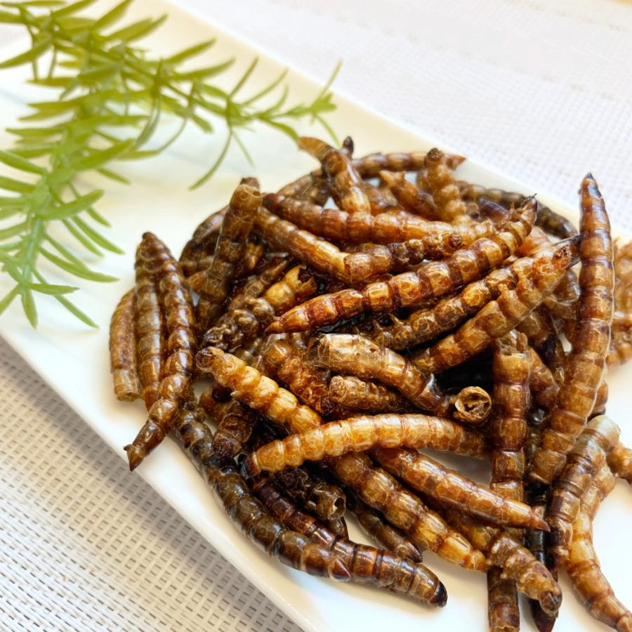 公式 昆虫食 スーパーワーム スナック食用 食べられる虫 Bugoom バグーム Super Worms No 5 Net 15ｇ Id23 5 15g Bug Bugoom Yahoo 店 通販 Yahoo ショッピング