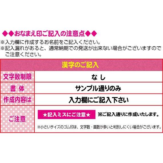 送料無料お手入れ要らず お名前スタンプ ねーむぱらだいす 漢字追加ゴム印セット ゴム印 学参フォント 漢字のゴム印だけのセット 入園準備 入学準備 Riosmauricio Com