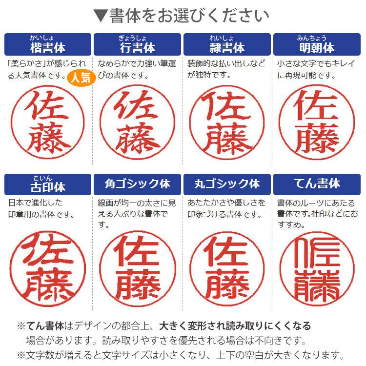 シヤチハタ（Shachihata） 訂正印 シャチハタ ネーム6 6mm 別注品 印鑑