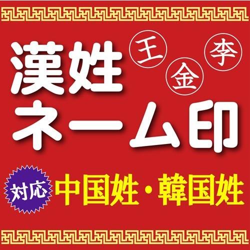 シヤチハタ（Shachihata） シャチハタ ネーム9 漢姓ネーム印 印面