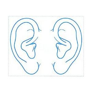 シャチハタ 医療用人体図 「耳」 40ｘ50mm 角型印4050号 ゴム印｜bugyo