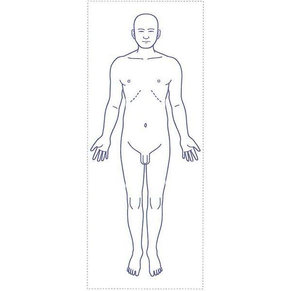 シャチハタ 医療用人体図 「全身（男性正面）」 40x100mm 角型印40100号 ゴム印｜bugyo