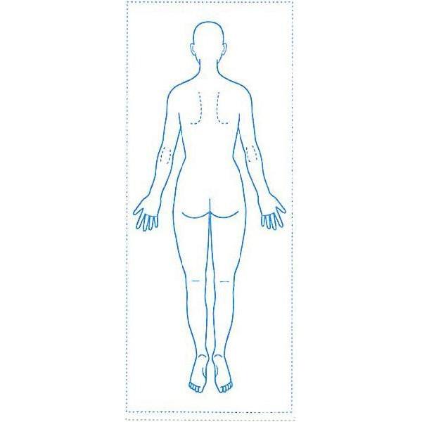 シャチハタ 医療用人体図 「全身（女性背面）」 40x100mm 角型印40100号 ゴム印