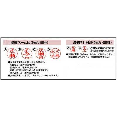 ネームペン スタンペンgt シャチハタ式 ネーム印 訂正印 黒ボールペン 印鑑付きボールペン タニエバー はんこ奉行 通販 Paypayモール