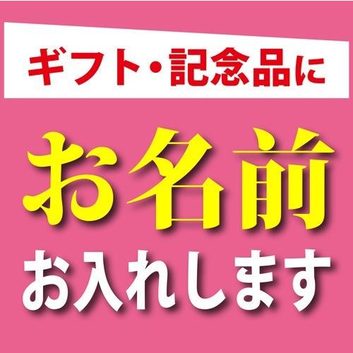 名入れ ネームペン パーカー・エアフロー TKS PKA(CT) シヤチハタ 印鑑付ボールペン ギフトBOX付 名入れ彫刻 | PARKER | 01