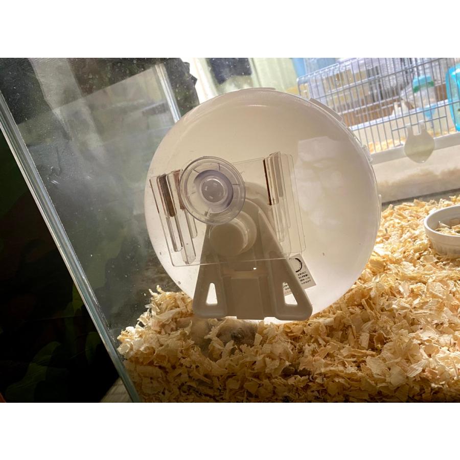 回し車固定 サイレントホイール21 25固定ホルダー P003 Buhi Harryヤフー店 通販 Yahoo ショッピング