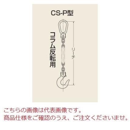 タコマン CSP型リーチ 固定式チェーンスリング CS-P-10 (1本吊り