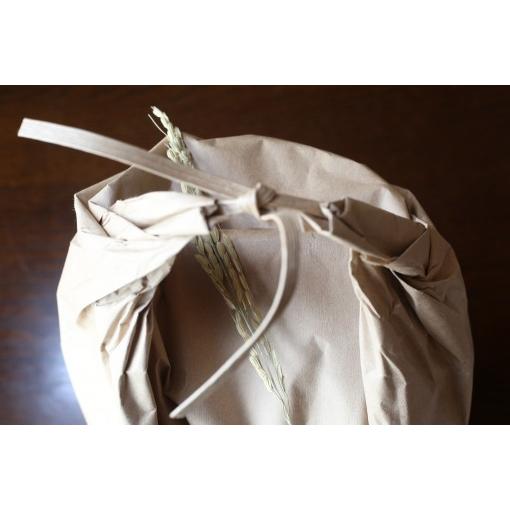 令和6年産 特別栽培米 30kg(玄米) 送料無料(九州〜関西地域