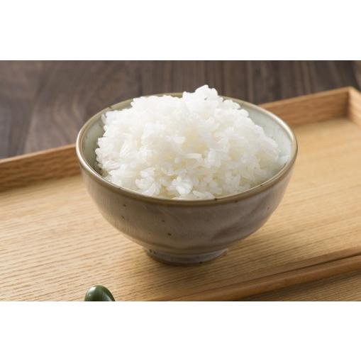 令和6年産 特別栽培米 5kg送料無料(一部地域外）宮崎県産 おてん