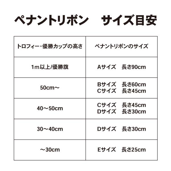 紅白ペナントリボン Dサイズ 30cm 20本 滲みにくいペン セット : BLUE
