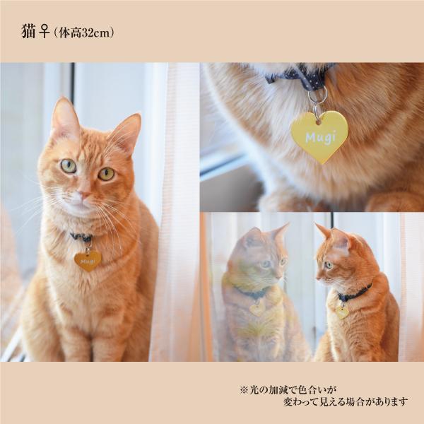 迷子札 ハート型 アルミ製 ネームプレート 名札 小型犬 猫にもオススメ |  | 01