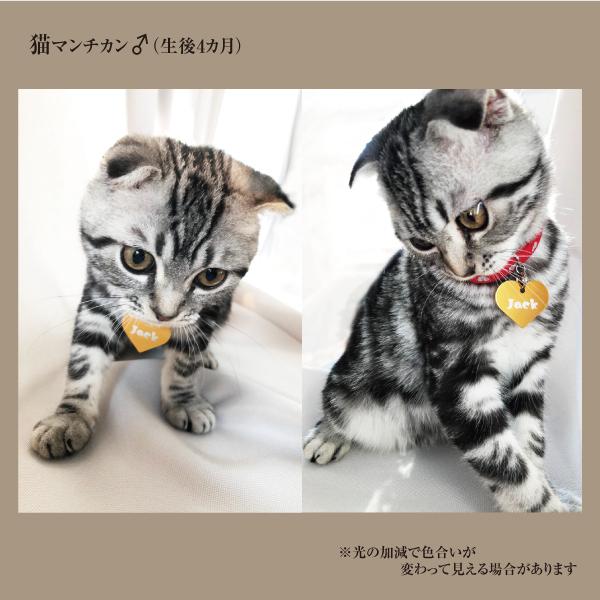 迷子札 ハート型 アルミ製 ネームプレート 名札 小型犬 猫にもオススメ |  | 10