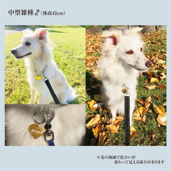 迷子札 ハート型 アルミ製 ネームプレート 名札 小型犬 猫にもオススメ |  | 02
