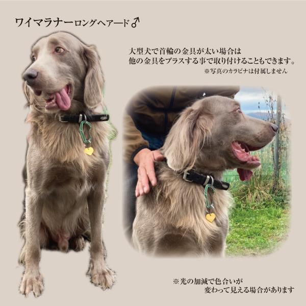 迷子札 ハート型 アルミ製 ネームプレート 名札 小型犬 猫にもオススメ |  | 04