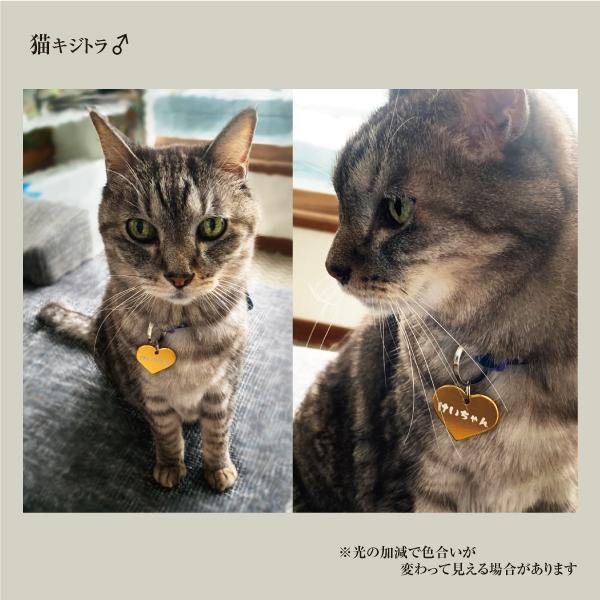 迷子札 ハート型 アルミ製 ネームプレート 名札 小型犬 猫にもオススメ |  | 06
