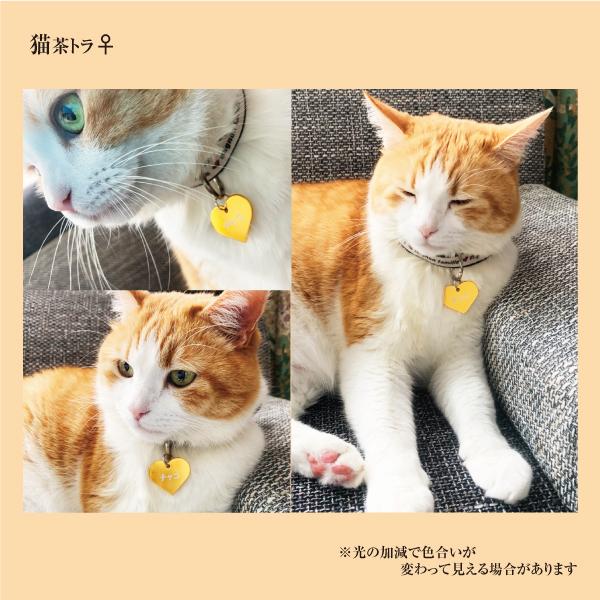 迷子札 ハート型 アルミ製 ネームプレート 名札 小型犬 猫にもオススメ |  | 07