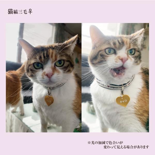迷子札 ハート型 アルミ製 ネームプレート 名札 小型犬 猫にもオススメ |  | 08