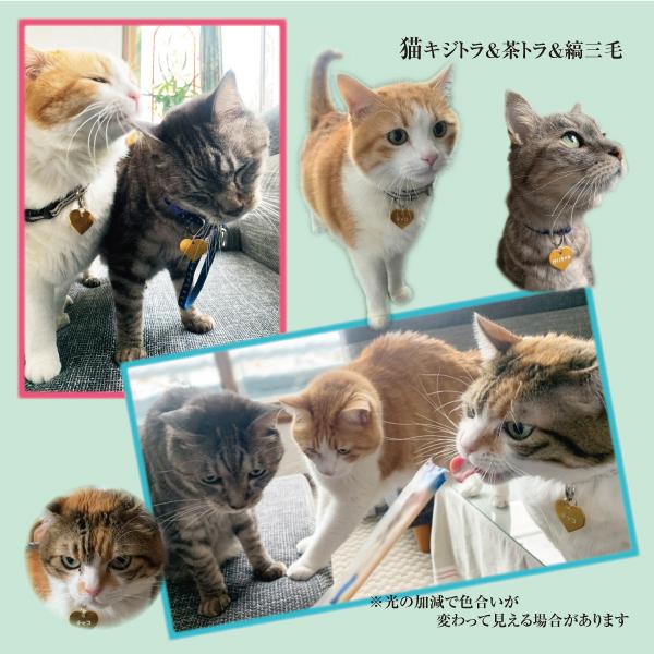 迷子札 ハート型 アルミ製 ネームプレート 名札 小型犬 猫にもオススメ |  | 09