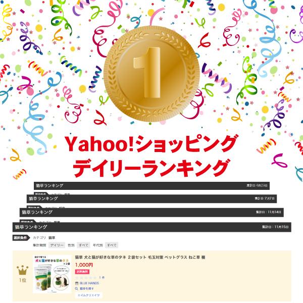 猫草 犬と猫が好きな草のタネ ２袋セット 毛玉対策 ペットグラス ねこ草 種 | エイムクリエイツ | 06