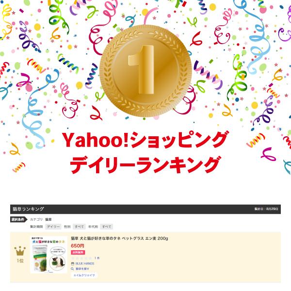 猫草 犬と猫が好きな草のタネ ペットグラス エン麦 200g ねこ草 種 | エイムクリエイツ | 06