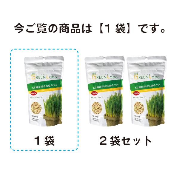 猫草 犬と猫が好きな草のタネ ペットグラス エン麦 200g ねこ草 種 | エイムクリエイツ | 05