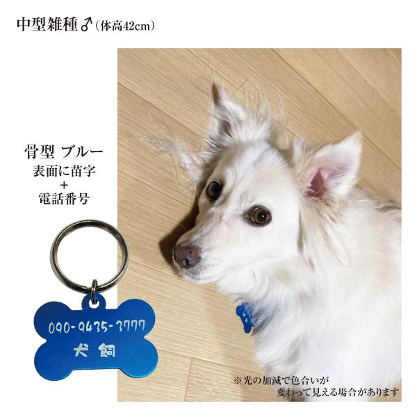 KANA様ご確認用♡ 犬用名札 迷子札 骨型 アルミ製 オマケ付き ネームプレート 名札 小型犬
