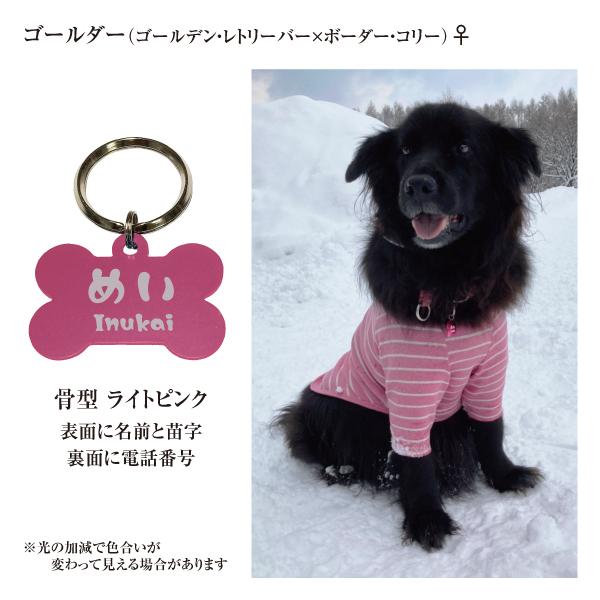迷子札 骨型 アルミ製 オマケ付き ネームプレート 名札　小型犬 中型犬 大型犬 |  | 06