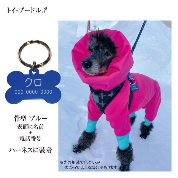 迷子札 骨型 アルミ製 オマケ付き ネームプレート 名札　小型犬 中型犬 大型犬 |  | 07