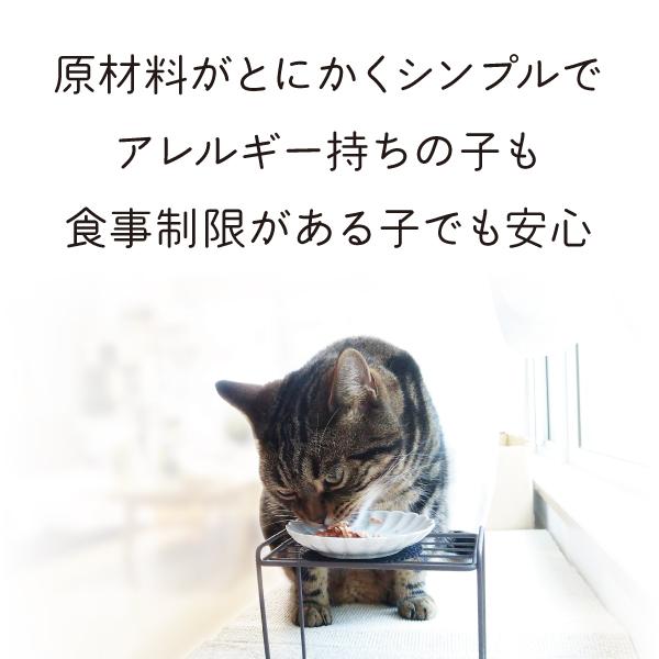 何も入れない まぐろ かつお ささみ たまの伝説 たま伝 パウチ 国産 キャットフード ＳＴＩサンヨー | たまの伝説 | 05