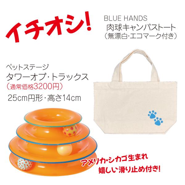 猫 福袋 詰め合わせ 大 無添加 おやつ たま伝 フリーズドライ ササミ 猫草 種 タネ バッグ |  | 01