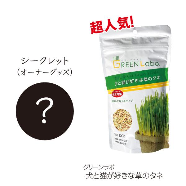 猫 福袋 詰め合わせ 大 無添加 おやつ たま伝 フリーズドライ ササミ 猫草 種 タネ バッグ |  | 02