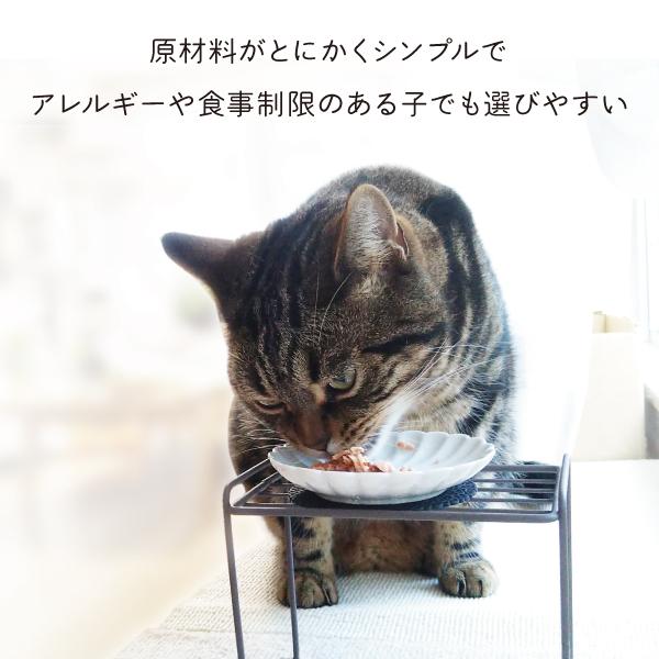 何も入れない まぐろ かつお ささみ 燻製かつお粒 さば たまの伝説 たま伝 パウチ 国産 キャットフード ＳＴＩサンヨー | たまの伝説 | 01